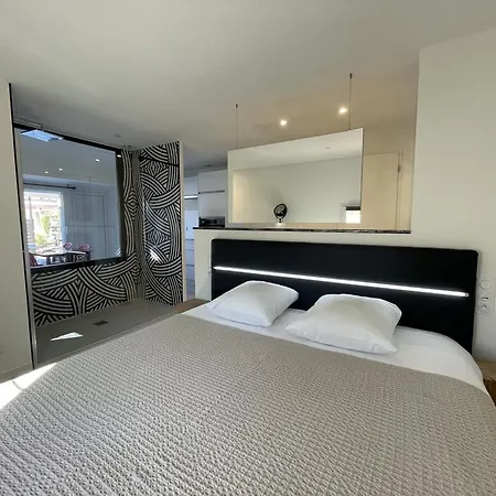 Swing - Port Nature Vpn50 By Agn - Luxe - 2 Personnes Appartement Agde