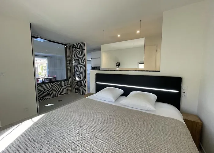 Swing - Port Nature Vpn50 By Agn - Luxe - 2 Personnes Appartement Agde